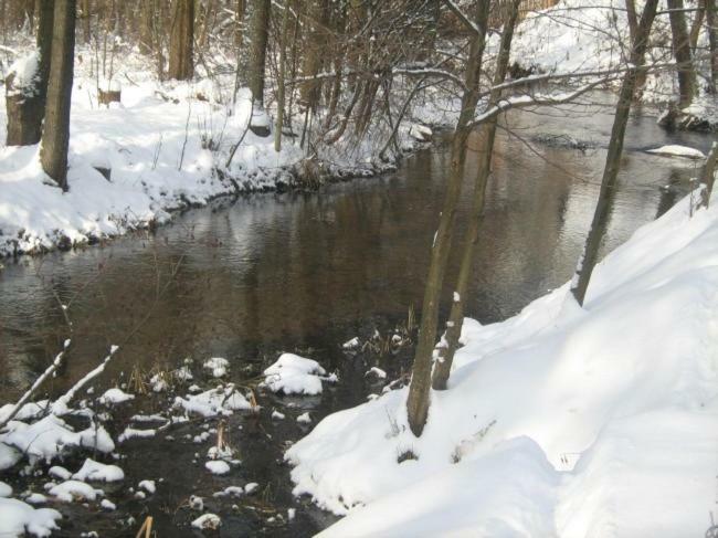 Wypoczynek U Piotra Villa Susiec Exteriör bild